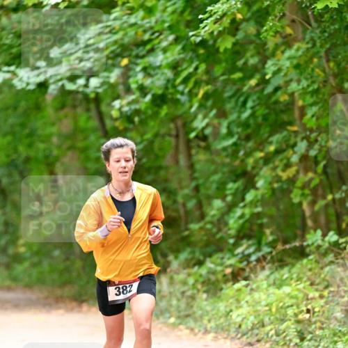 11.10.2026 - Bramfelder Halbmarathon 2026 Dr. Thomas Lammeyer http://msf.ph/oto/10818936 11.10.2026 10:10:32 Laufen 382 meine-sportfotos.de