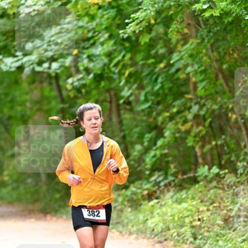 11.10.2026 - Bramfelder Halbmarathon 2026 Dr. Thomas Lammeyer http://msf.ph/oto/10818938 11.10.2026 10:10:32 Laufen 382 meine-sportfotos.de
