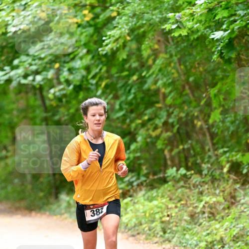11.10.2026 - Bramfelder Halbmarathon 2026 Dr. Thomas Lammeyer http://msf.ph/oto/10818941 11.10.2026 10:10:32 Laufen 382 meine-sportfotos.de