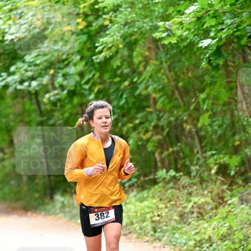 11.10.2026 - Bramfelder Halbmarathon 2026 Dr. Thomas Lammeyer http://msf.ph/oto/10818942 11.10.2026 10:10:32 Laufen 382 meine-sportfotos.de