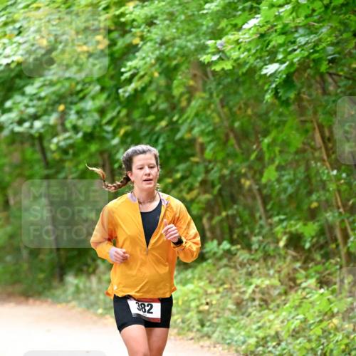 11.10.2026 - Bramfelder Halbmarathon 2026 Dr. Thomas Lammeyer http://msf.ph/oto/10818943 11.10.2026 10:10:32 Laufen 382 meine-sportfotos.de