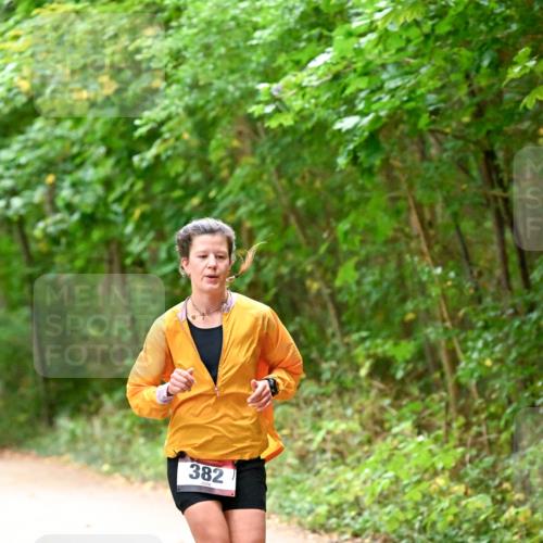 11.10.2026 - Bramfelder Halbmarathon 2026 Dr. Thomas Lammeyer http://msf.ph/oto/10818945 11.10.2026 10:10:33 Laufen 382 meine-sportfotos.de