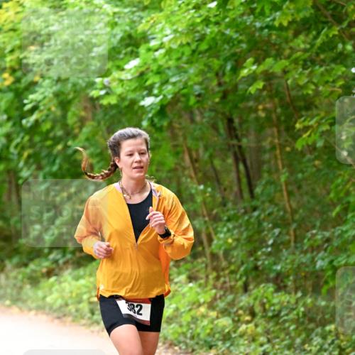 11.10.2026 - Bramfelder Halbmarathon 2026 Dr. Thomas Lammeyer http://msf.ph/oto/10818948 11.10.2026 10:10:33 Laufen 382 meine-sportfotos.de