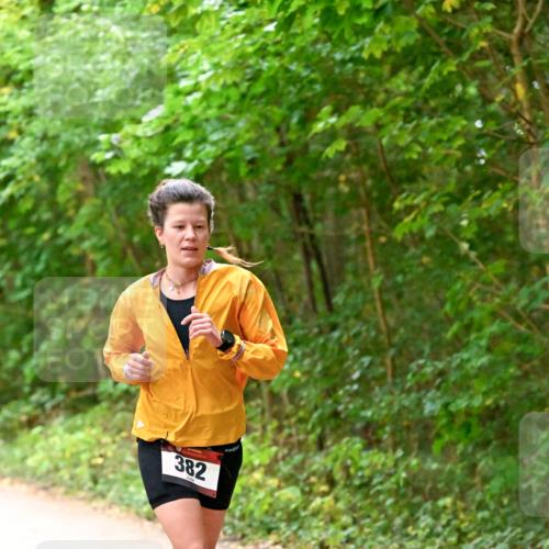 11.10.2026 - Bramfelder Halbmarathon 2026 Dr. Thomas Lammeyer http://msf.ph/oto/10818949 11.10.2026 10:10:33 Laufen 382 meine-sportfotos.de