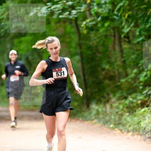 11.10.2026 - Bramfelder Halbmarathon 2026 Dr. Thomas Lammeyer http://msf.ph/oto/10818984 11.10.2026 10:10:57 Laufen 531 meine-sportfotos.de