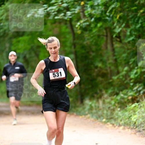 11.10.2026 - Bramfelder Halbmarathon 2026 Dr. Thomas Lammeyer http://msf.ph/oto/10818985 11.10.2026 10:10:58 Laufen 289, 531 meine-sportfotos.de
