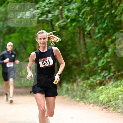 11.10.2026 - Bramfelder Halbmarathon 2026 Dr. Thomas Lammeyer http://msf.ph/oto/10818987 11.10.2026 10:10:58 Laufen 531, 289 meine-sportfotos.de