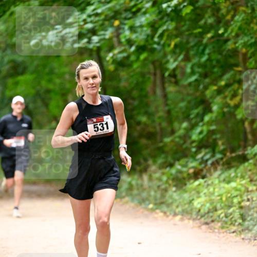 11.10.2026 - Bramfelder Halbmarathon 2026 Dr. Thomas Lammeyer http://msf.ph/oto/10818988 11.10.2026 10:10:58 Laufen 531, 289 meine-sportfotos.de