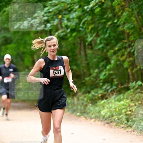 11.10.2026 - Bramfelder Halbmarathon 2026 Dr. Thomas Lammeyer http://msf.ph/oto/10818989 11.10.2026 10:10:58 Laufen 531, 289 meine-sportfotos.de