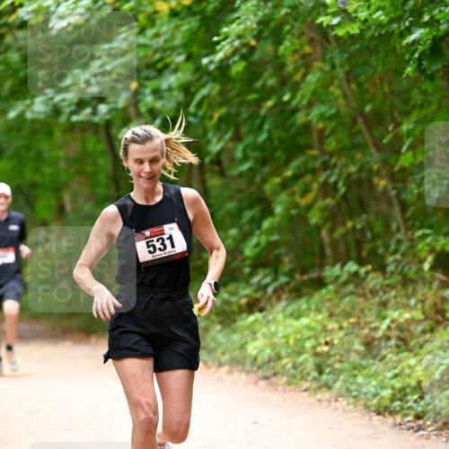 11.10.2026 - Bramfelder Halbmarathon 2026 Dr. Thomas Lammeyer http://msf.ph/oto/10818992 11.10.2026 10:10:58 Laufen 531, 289 meine-sportfotos.de