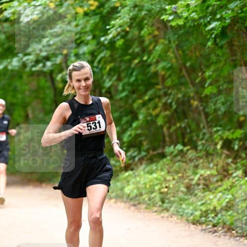 11.10.2026 - Bramfelder Halbmarathon 2026 Dr. Thomas Lammeyer http://msf.ph/oto/10818993 11.10.2026 10:10:59 Laufen 531 meine-sportfotos.de