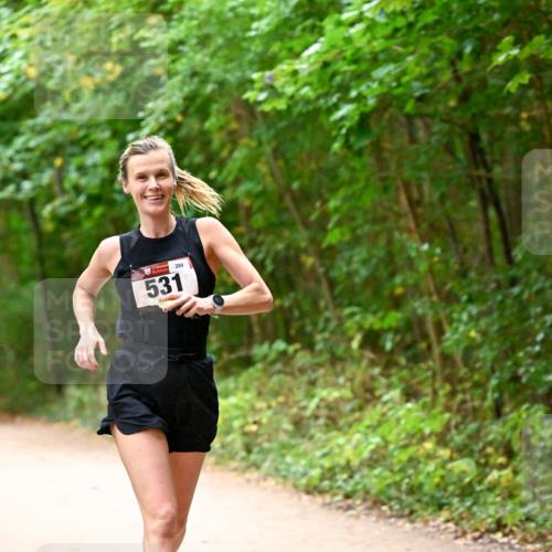 11.10.2026 - Bramfelder Halbmarathon 2026 Dr. Thomas Lammeyer http://msf.ph/oto/10818996 11.10.2026 10:10:59 Laufen 531, 289 meine-sportfotos.de