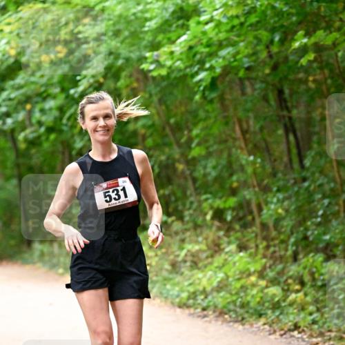 11.10.2026 - Bramfelder Halbmarathon 2026 Dr. Thomas Lammeyer http://msf.ph/oto/10818997 11.10.2026 10:10:59 Laufen 531, 289 meine-sportfotos.de