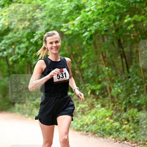 11.10.2026 - Bramfelder Halbmarathon 2026 Dr. Thomas Lammeyer http://msf.ph/oto/10818998 11.10.2026 10:10:59 Laufen 531 meine-sportfotos.de