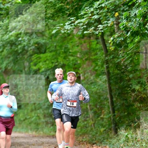 11.10.2026 - Bramfelder Halbmarathon 2026 Dr. Thomas Lammeyer http://msf.ph/oto/10819136 11.10.2026 10:11:35 Laufen 16 meine-sportfotos.de