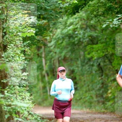 11.10.2026 - Bramfelder Halbmarathon 2026 Dr. Thomas Lammeyer http://msf.ph/oto/10819148 11.10.2026 10:11:37 Laufen  meine-sportfotos.de