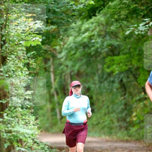 11.10.2026 - Bramfelder Halbmarathon 2026 Dr. Thomas Lammeyer http://msf.ph/oto/10819149 11.10.2026 10:11:37 Laufen  meine-sportfotos.de