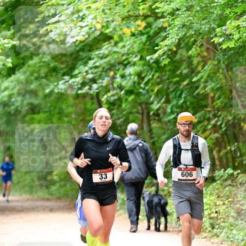 11.10.2026 - Bramfelder Halbmarathon 2026 Dr. Thomas Lammeyer http://msf.ph/oto/10819169 11.10.2026 10:12:02 Laufen 33, 606 meine-sportfotos.de