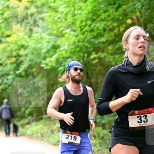 11.10.2026 - Bramfelder Halbmarathon 2026 Dr. Thomas Lammeyer http://msf.ph/oto/10819183 11.10.2026 10:12:05 Laufen 219, 33 meine-sportfotos.de