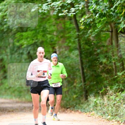 11.10.2026 - Bramfelder Halbmarathon 2026 Dr. Thomas Lammeyer http://msf.ph/oto/10819187 11.10.2026 10:12:24 Laufen 262 meine-sportfotos.de