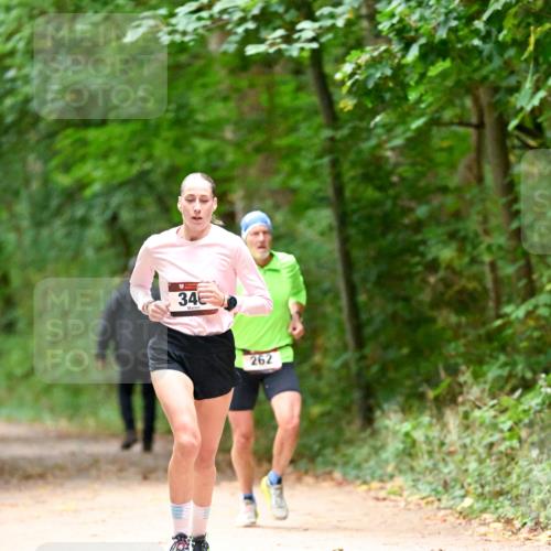 11.10.2026 - Bramfelder Halbmarathon 2026 Dr. Thomas Lammeyer http://msf.ph/oto/10819190 11.10.2026 10:12:24 Laufen 34, 262 meine-sportfotos.de
