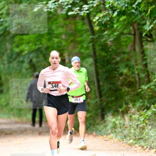 11.10.2026 - Bramfelder Halbmarathon 2026 Dr. Thomas Lammeyer http://msf.ph/oto/10819191 11.10.2026 10:12:24 Laufen 34, 262 meine-sportfotos.de