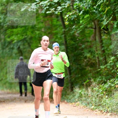 11.10.2026 - Bramfelder Halbmarathon 2026 Dr. Thomas Lammeyer http://msf.ph/oto/10819193 11.10.2026 10:12:25 Laufen 262 meine-sportfotos.de
