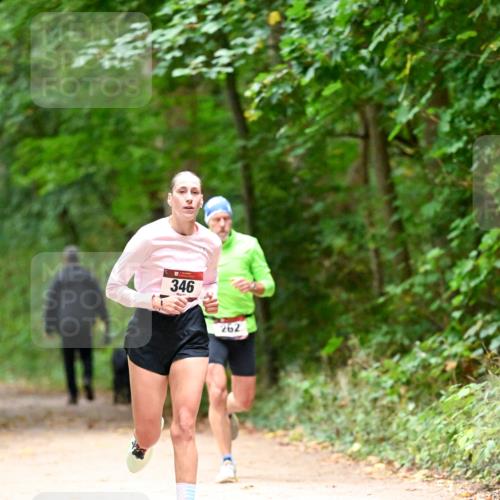 11.10.2026 - Bramfelder Halbmarathon 2026 Dr. Thomas Lammeyer http://msf.ph/oto/10819194 11.10.2026 10:12:25 Laufen 346, 262 meine-sportfotos.de