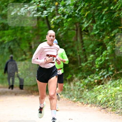 11.10.2026 - Bramfelder Halbmarathon 2026 Dr. Thomas Lammeyer http://msf.ph/oto/10819199 11.10.2026 10:12:26 Laufen 2 meine-sportfotos.de