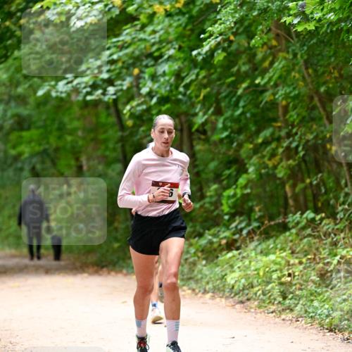 11.10.2026 - Bramfelder Halbmarathon 2026 Dr. Thomas Lammeyer http://msf.ph/oto/10819204 11.10.2026 10:12:26 Laufen  meine-sportfotos.de