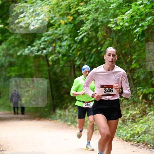 11.10.2026 - Bramfelder Halbmarathon 2026 Dr. Thomas Lammeyer http://msf.ph/oto/10819212 11.10.2026 10:12:27 Laufen 262, 346 meine-sportfotos.de