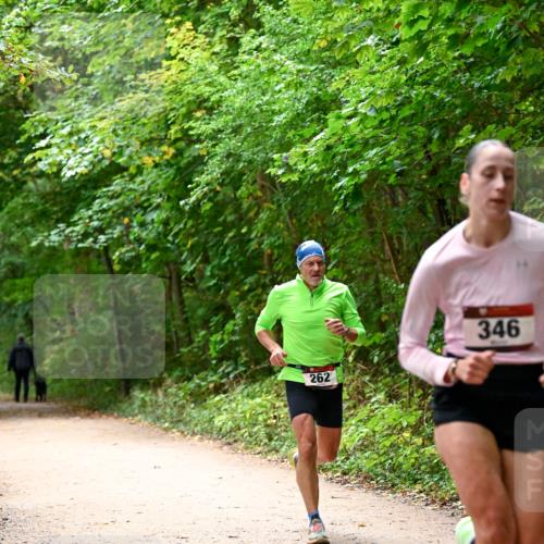 11.10.2026 - Bramfelder Halbmarathon 2026 Dr. Thomas Lammeyer http://msf.ph/oto/10819214 11.10.2026 10:12:28 Laufen 262, 346 meine-sportfotos.de