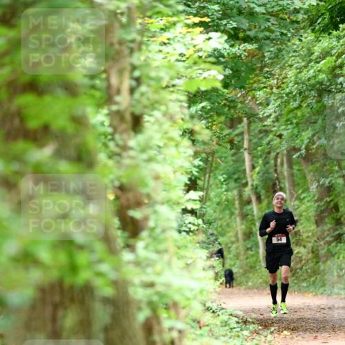 11.10.2026 - Bramfelder Halbmarathon 2026 Dr. Thomas Lammeyer http://msf.ph/oto/10819286 11.10.2026 10:13:08 Laufen 54 meine-sportfotos.de