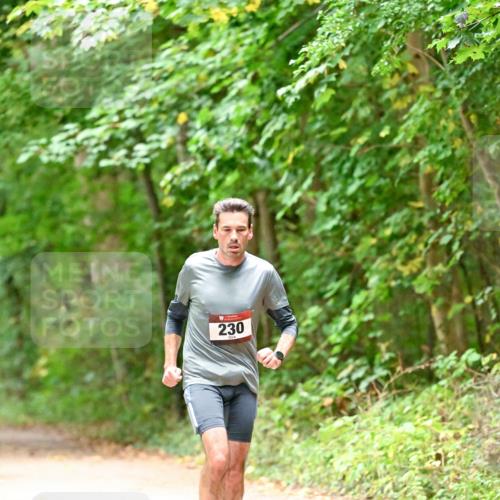 11.10.2026 - Bramfelder Halbmarathon 2026 Dr. Thomas Lammeyer http://msf.ph/oto/10819391 11.10.2026 10:13:37 Laufen 230 meine-sportfotos.de