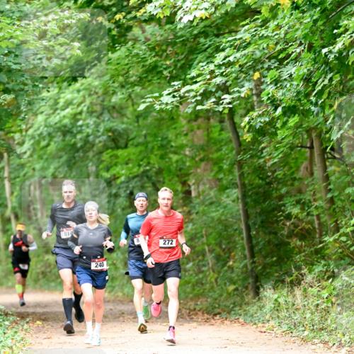 11.10.2026 - Bramfelder Halbmarathon 2026 Dr. Thomas Lammeyer http://msf.ph/oto/10819422 11.10.2026 10:13:43 Laufen 814, 240, 272 meine-sportfotos.de