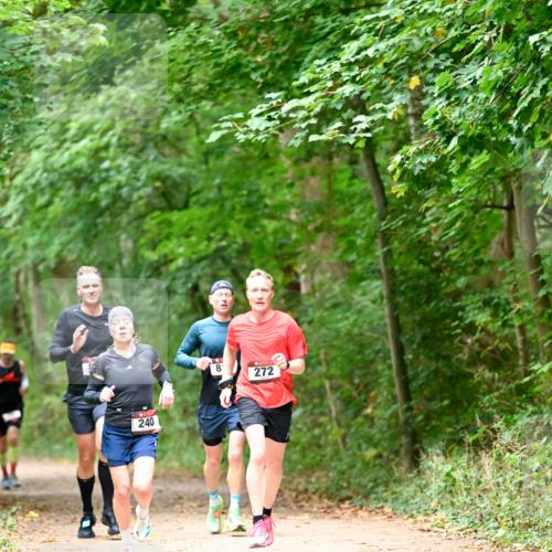 11.10.2026 - Bramfelder Halbmarathon 2026 Dr. Thomas Lammeyer http://msf.ph/oto/10819424 11.10.2026 10:13:43 Laufen 240, 8, 272 meine-sportfotos.de
