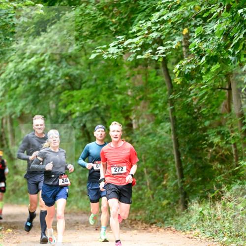 11.10.2026 - Bramfelder Halbmarathon 2026 Dr. Thomas Lammeyer http://msf.ph/oto/10819425 11.10.2026 10:13:43 Laufen 240, 81, 272 meine-sportfotos.de