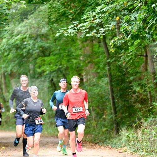 11.10.2026 - Bramfelder Halbmarathon 2026 Dr. Thomas Lammeyer http://msf.ph/oto/10819426 11.10.2026 10:13:43 Laufen 243, 8, 272 meine-sportfotos.de