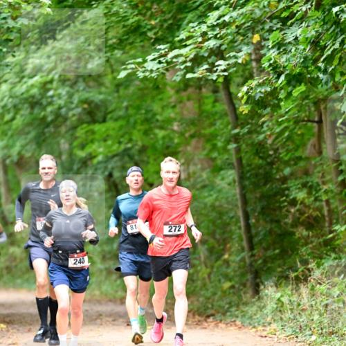 11.10.2026 - Bramfelder Halbmarathon 2026 Dr. Thomas Lammeyer http://msf.ph/oto/10819427 11.10.2026 10:13:44 Laufen 240, 81, 272 meine-sportfotos.de