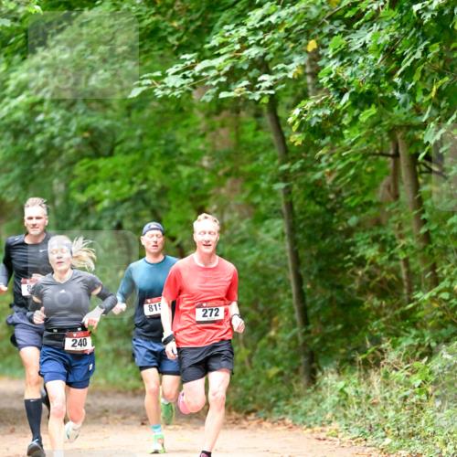 11.10.2026 - Bramfelder Halbmarathon 2026 Dr. Thomas Lammeyer http://msf.ph/oto/10819428 11.10.2026 10:13:44 Laufen 240, 815, 272 meine-sportfotos.de