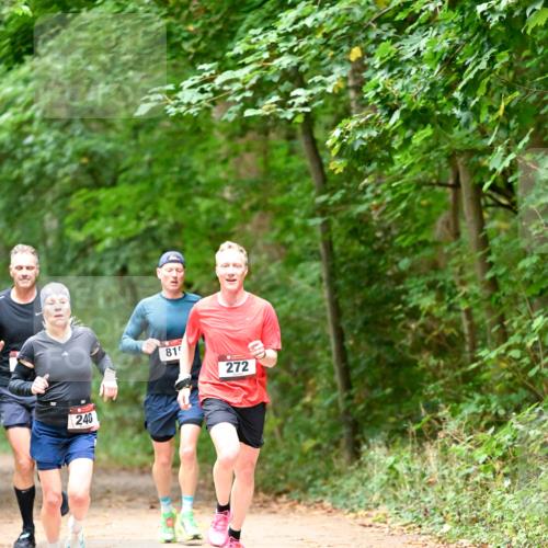 11.10.2026 - Bramfelder Halbmarathon 2026 Dr. Thomas Lammeyer http://msf.ph/oto/10819429 11.10.2026 10:13:44 Laufen 240, 815, 272 meine-sportfotos.de