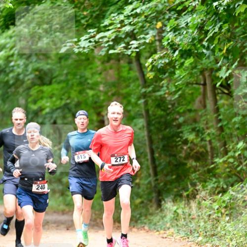 11.10.2026 - Bramfelder Halbmarathon 2026 Dr. Thomas Lammeyer http://msf.ph/oto/10819432 11.10.2026 10:13:44 Laufen 240, 815, 272 meine-sportfotos.de