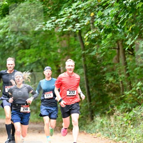 11.10.2026 - Bramfelder Halbmarathon 2026 Dr. Thomas Lammeyer http://msf.ph/oto/10819433 11.10.2026 10:13:44 Laufen 240, 815, 272 meine-sportfotos.de