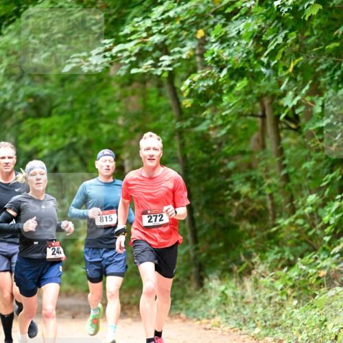 11.10.2026 - Bramfelder Halbmarathon 2026 Dr. Thomas Lammeyer http://msf.ph/oto/10819435 11.10.2026 10:13:45 Laufen 240, 815, 272 meine-sportfotos.de