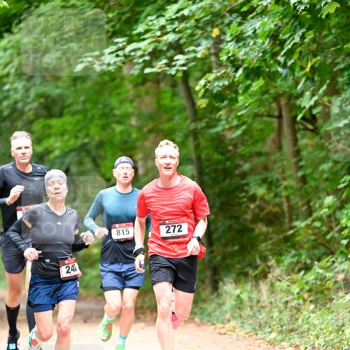 11.10.2026 - Bramfelder Halbmarathon 2026 Dr. Thomas Lammeyer http://msf.ph/oto/10819436 11.10.2026 10:13:45 Laufen 246, 815, 272 meine-sportfotos.de