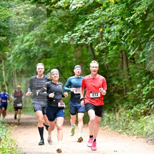 11.10.2026 - Bramfelder Halbmarathon 2026 Dr. Thomas Lammeyer http://msf.ph/oto/10819437 11.10.2026 10:13:45 Laufen 240, 815, 272 meine-sportfotos.de