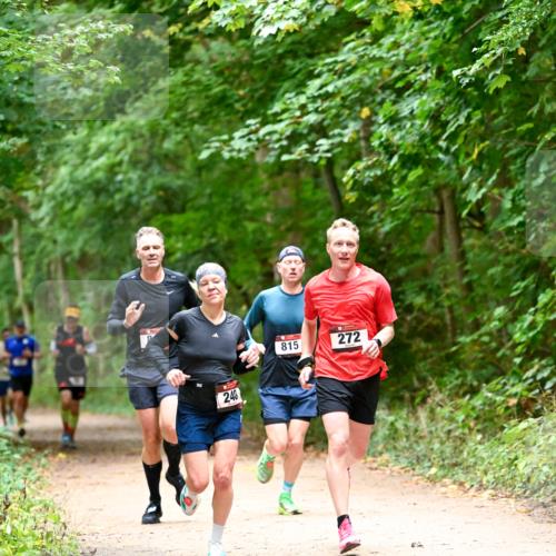 11.10.2026 - Bramfelder Halbmarathon 2026 Dr. Thomas Lammeyer http://msf.ph/oto/10819438 11.10.2026 10:13:45 Laufen 240, 815, 272 meine-sportfotos.de