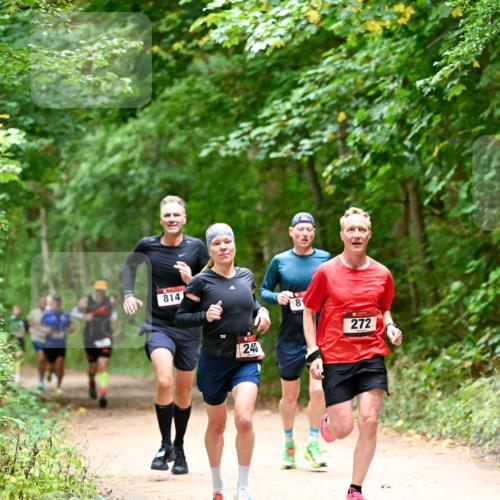 11.10.2026 - Bramfelder Halbmarathon 2026 Dr. Thomas Lammeyer http://msf.ph/oto/10819439 11.10.2026 10:13:46 Laufen 814, 240, 8, 272 meine-sportfotos.de