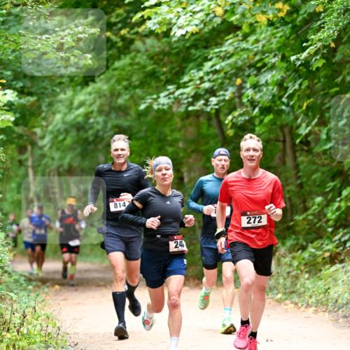 11.10.2026 - Bramfelder Halbmarathon 2026 Dr. Thomas Lammeyer http://msf.ph/oto/10819440 11.10.2026 10:13:46 Laufen 814, 240, 272 meine-sportfotos.de