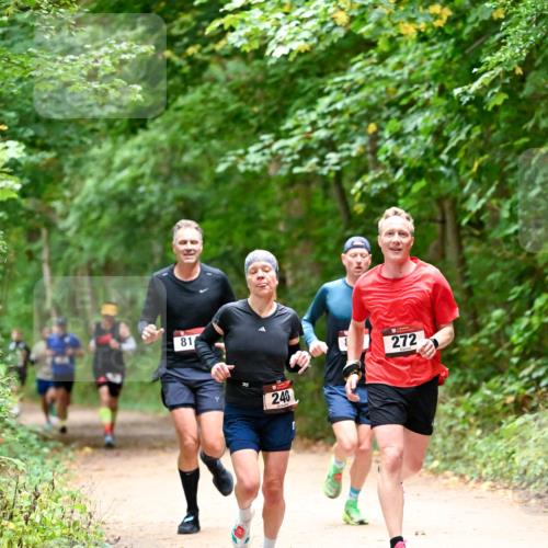 11.10.2026 - Bramfelder Halbmarathon 2026 Dr. Thomas Lammeyer http://msf.ph/oto/10819441 11.10.2026 10:13:46 Laufen 81, 240, 272 meine-sportfotos.de